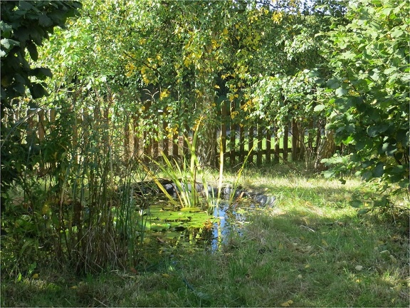 Cross Green B&B garden